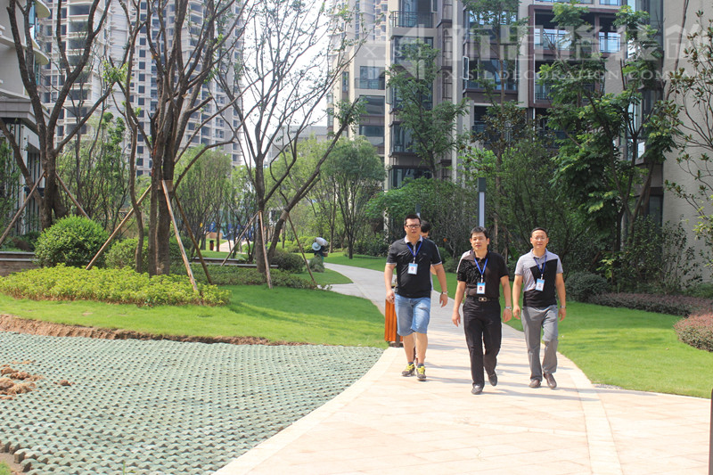 新思路裝飾“8.12工地大巡查”紀(jì)實